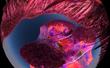 website film paradoxo