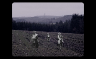 website campos flandres