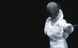 website film abelhao