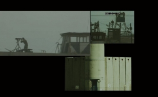 website film anatomia