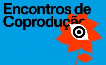 PPD25 Website Encontros de Coproducao