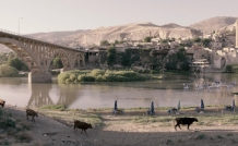 website film citydroveaway